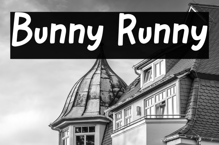 Bunny Runny Example 1