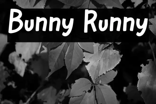Bunny Runny Font examples