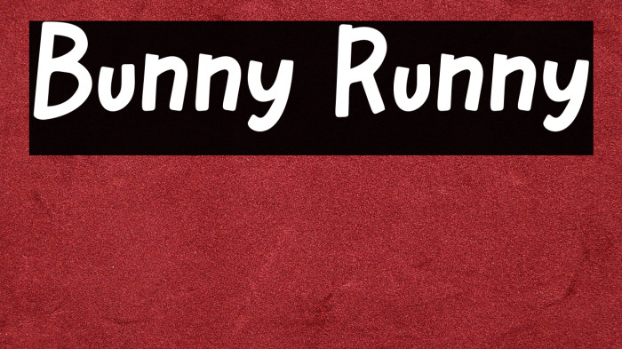 Bunny Runny Example 3