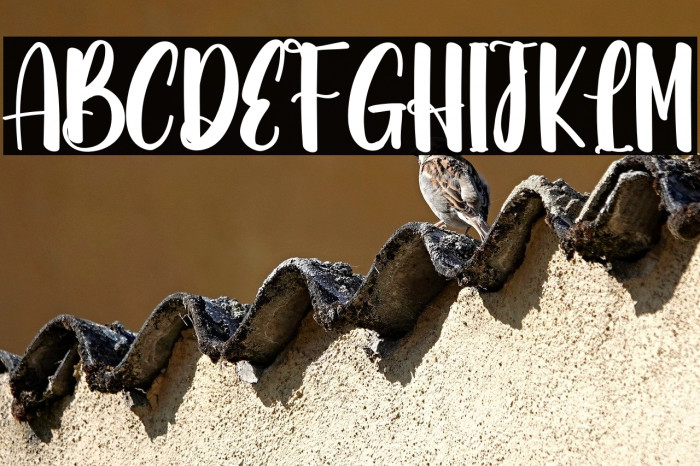 Bunny Spring Example 1