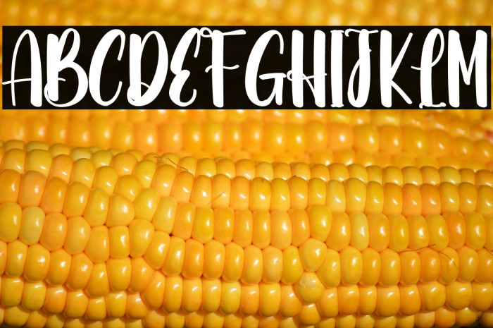 Bunny Spring Example 3