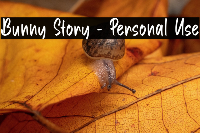 Bunny Story - Personal Use Example 1