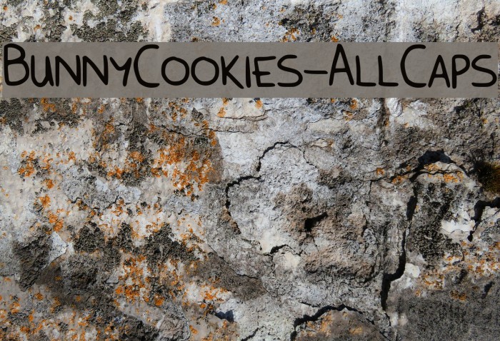 BunnyCookies-AllCaps Font examples