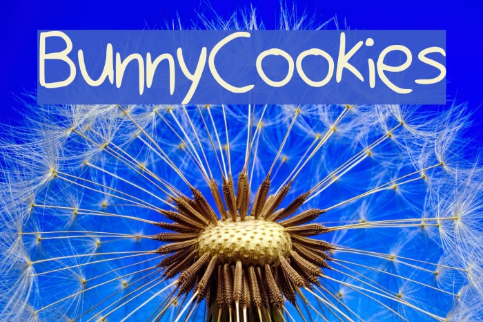 BunnyCookies Font examples