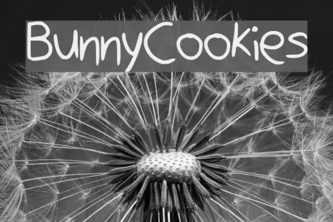 BunnyCookies examples