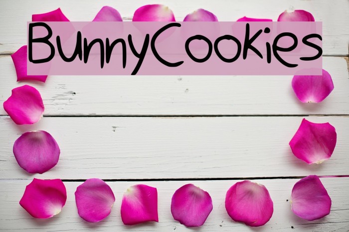 BunnyCookies Font examples