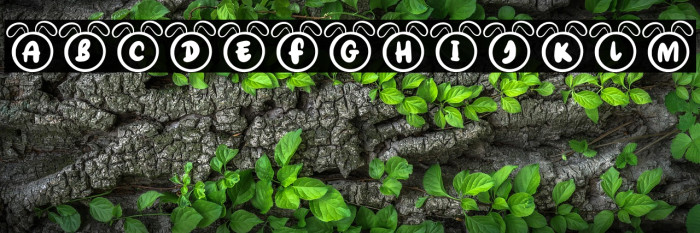 BunnyRegular Example 2