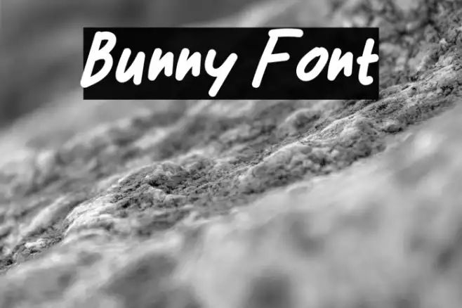 Bunny Example 1