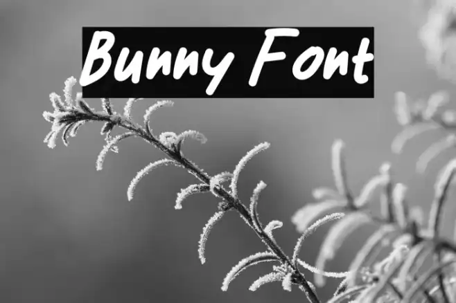Bunny Example 3