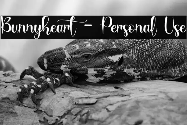 Bunnyheart - Personal Use Font examples