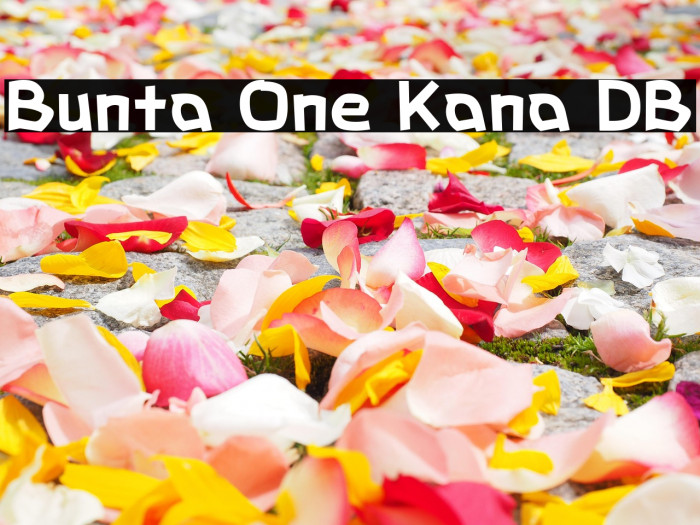 Bunta One Kana DB Example 3