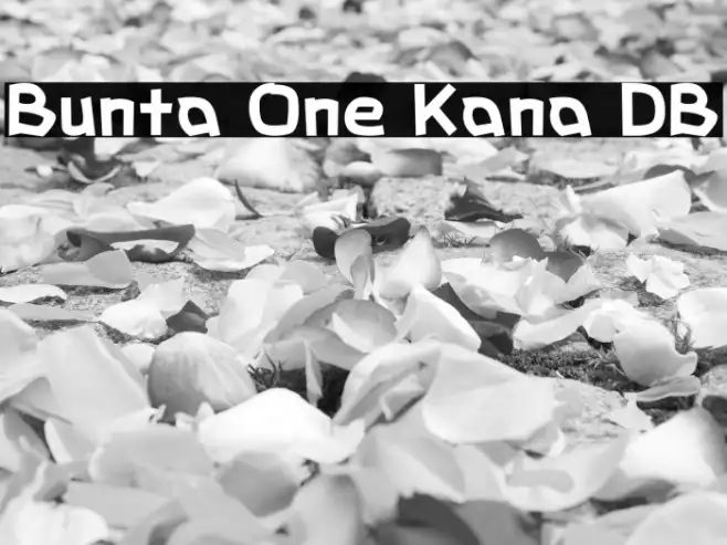 Bunta One Kana DB Example 3