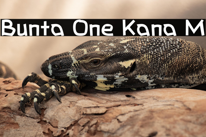 Bunta One Kana M Example 1