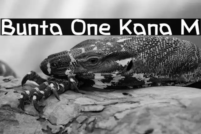Bunta One Kana M Font examples