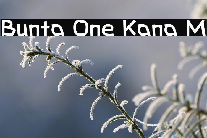 Bunta One Kana M Example 2