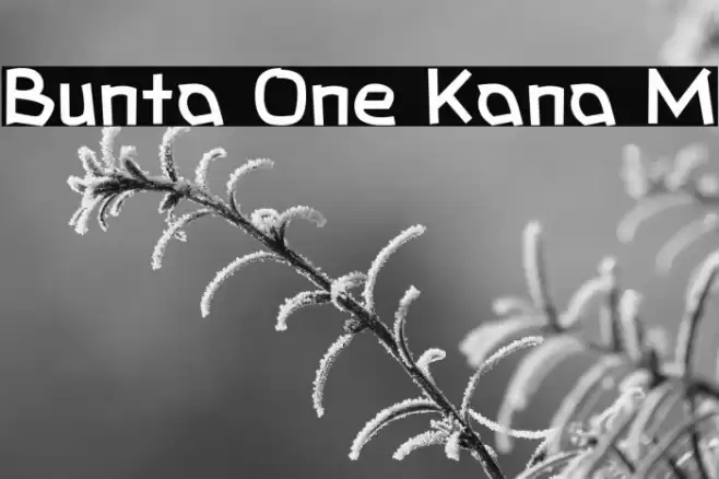 Bunta One Kana M Font examples