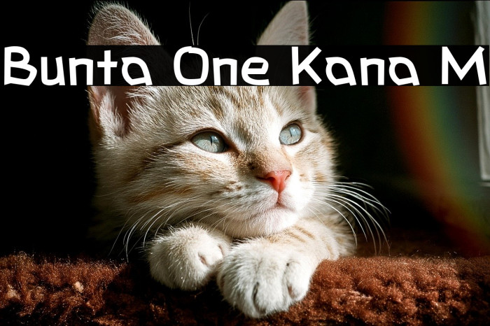 Bunta One Kana M Example 3