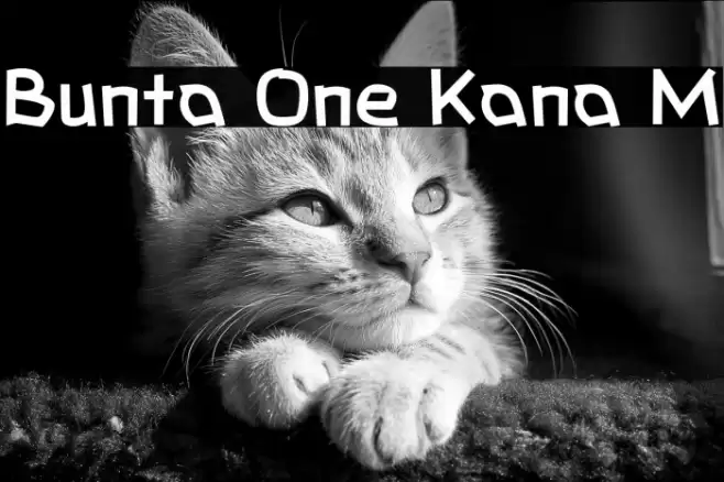 Bunta One Kana M Font examples
