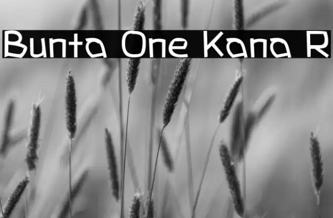 Bunta One Kana R Fonte examples