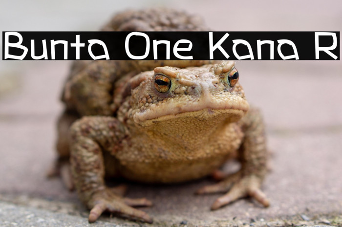 Bunta One Kana R Example 2