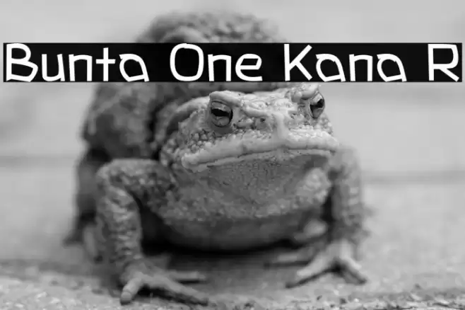 Bunta One Kana R Fonte examples