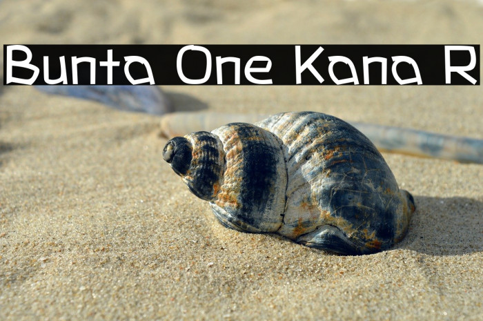 Bunta One Kana R Example 3