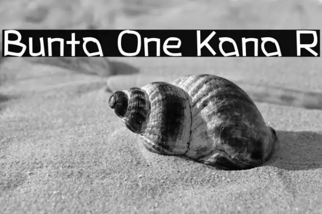 Bunta One Kana R Fonte examples