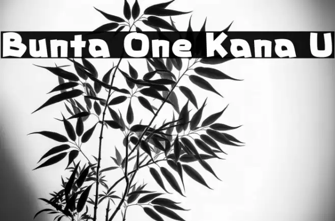 Bunta One Kana U Fonte examples