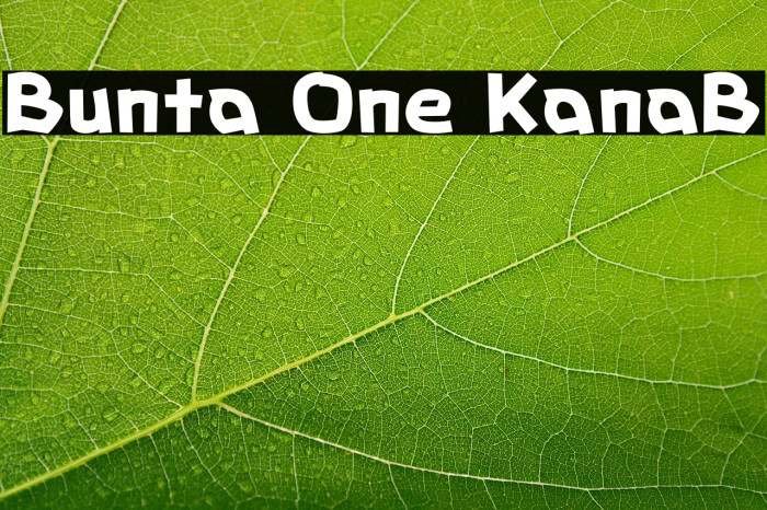 Bunta One KanaB Example 1