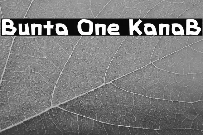 Bunta One KanaB フォント examples
