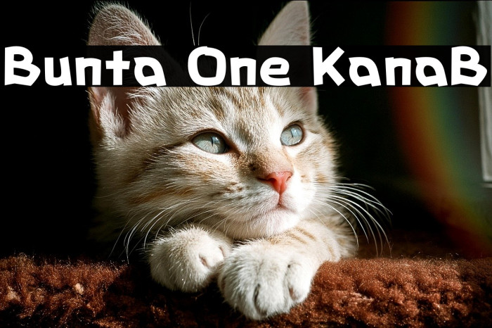 Bunta One KanaB Example 2