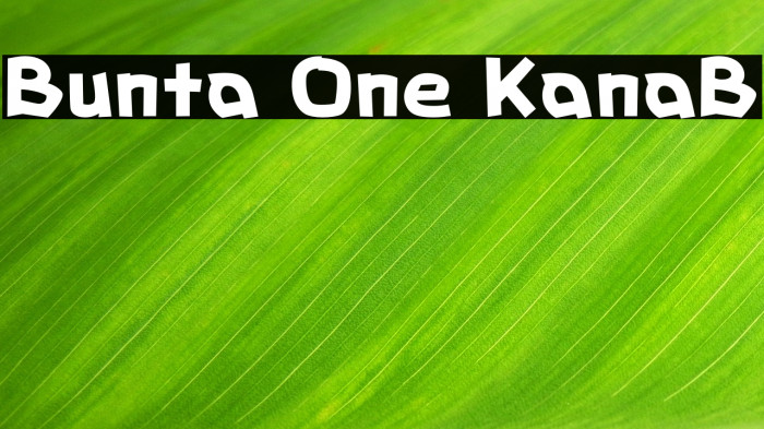 Bunta One KanaB Example 3