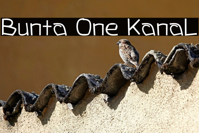 Bunta One KanaL Example 1