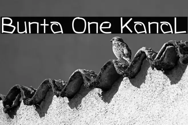 Bunta One KanaL Example 1