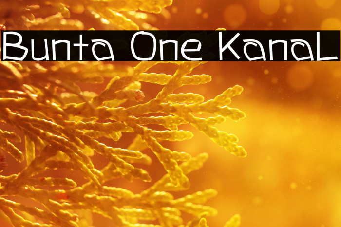 Bunta One KanaL Example 3