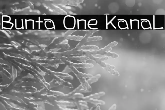 Bunta One KanaL Example 3