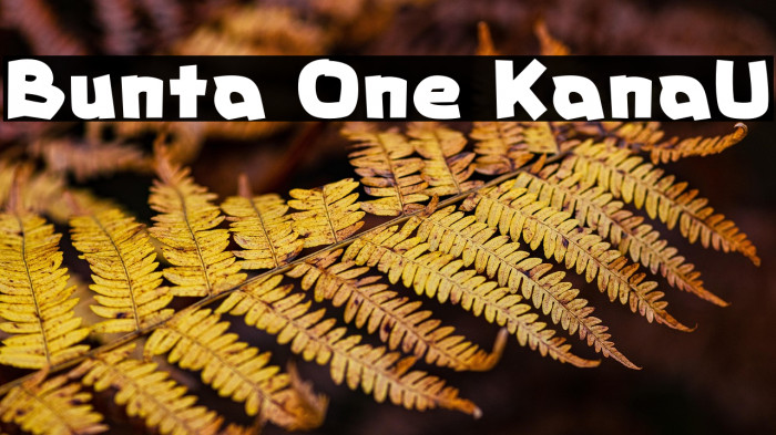 Bunta One KanaU Example 3