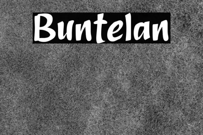 Buntelan Font examples