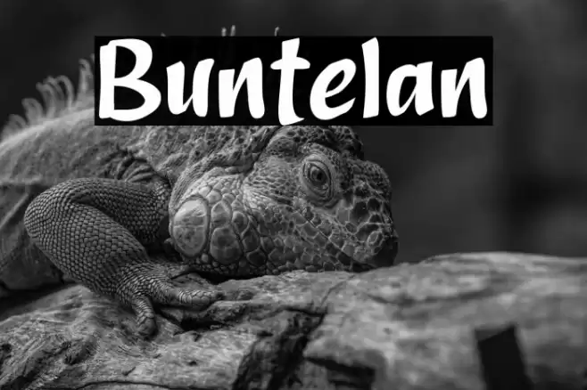 Buntelan Font examples