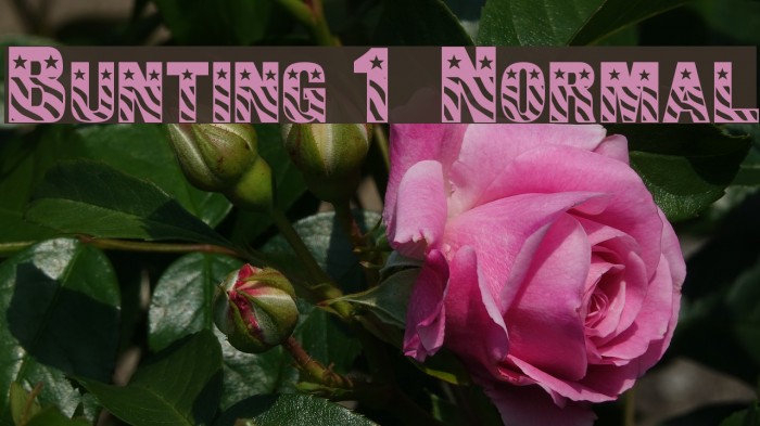 Bunting 1 Normal Font examples