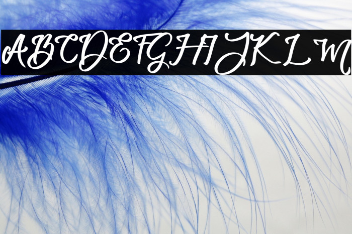 Bunton Island Example 3