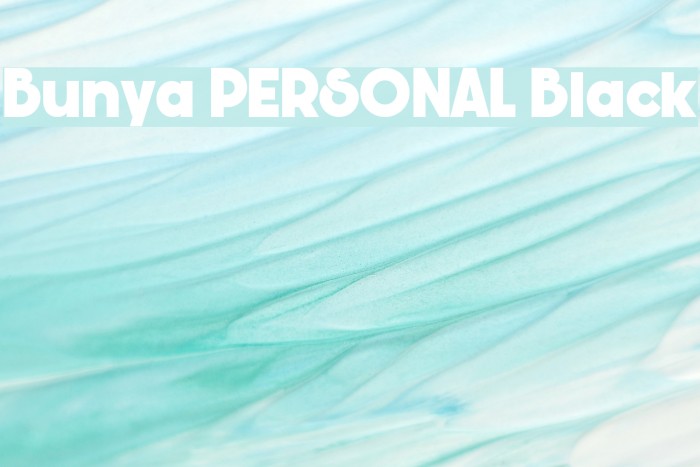 Bunya PERSONAL Black Font examples