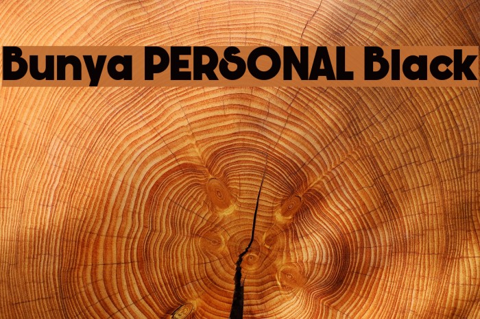 Bunya PERSONAL Black Font examples