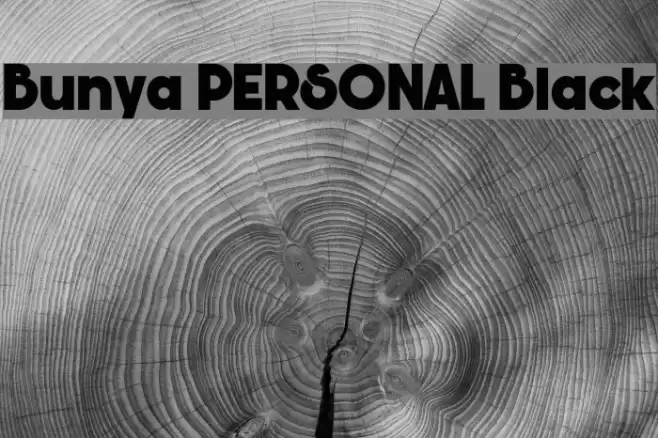 Bunya PERSONAL Black Caratteri examples
