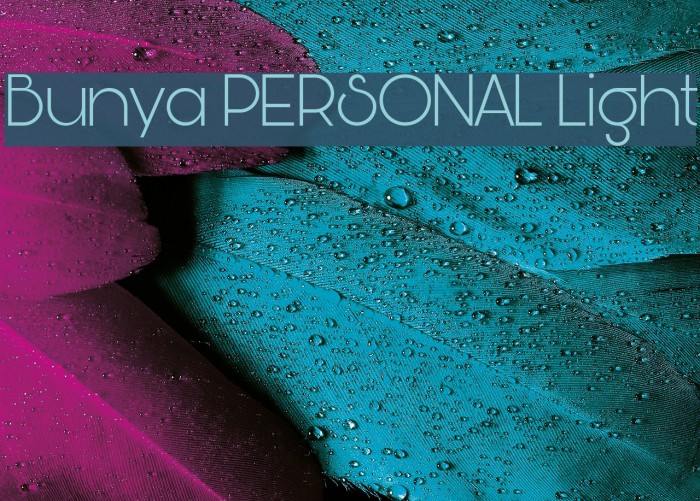 Bunya PERSONAL Light Font examples