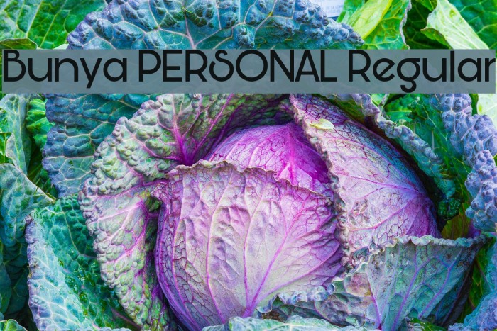 Bunya PERSONAL Regular Font examples