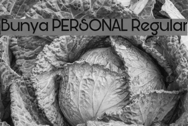 Bunya PERSONAL Regular Schriftart examples