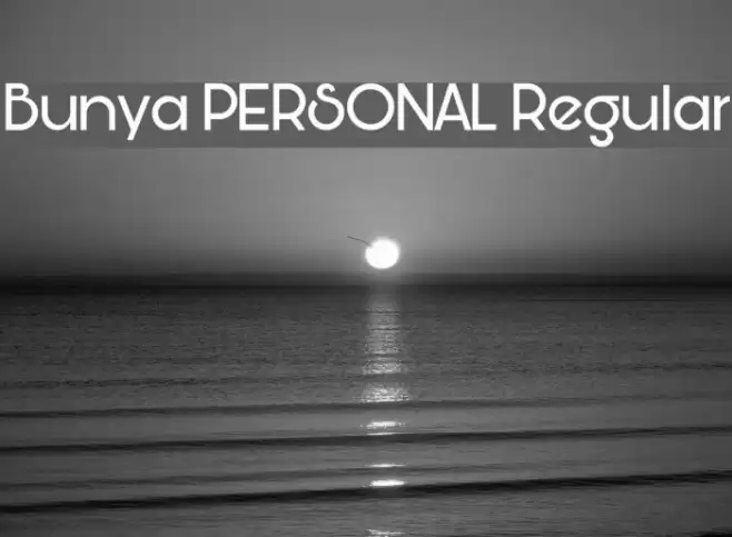 Bunya PERSONAL Regular Schriftart examples