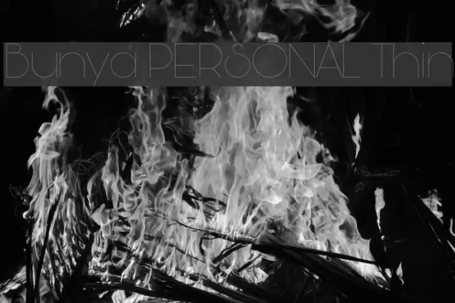 Bunya PERSONAL Thin Font examples