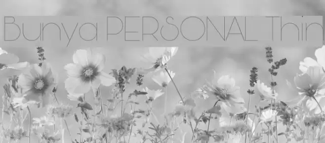 Bunya PERSONAL Thin Font examples